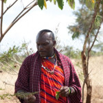 Ole Sululu teaching about medicinal plant use